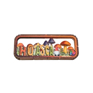 Huasca Hongos
